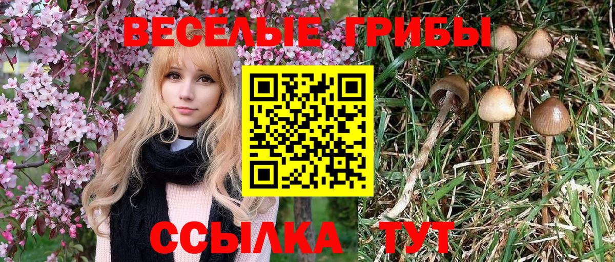 Псилоцибиновые грибы ЛСД Кубинка